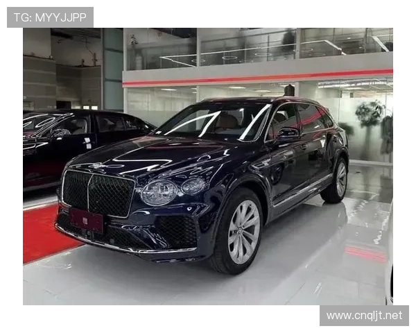 富里睡醒发现账上又多了几百万，顺手给狗买了辆宾利